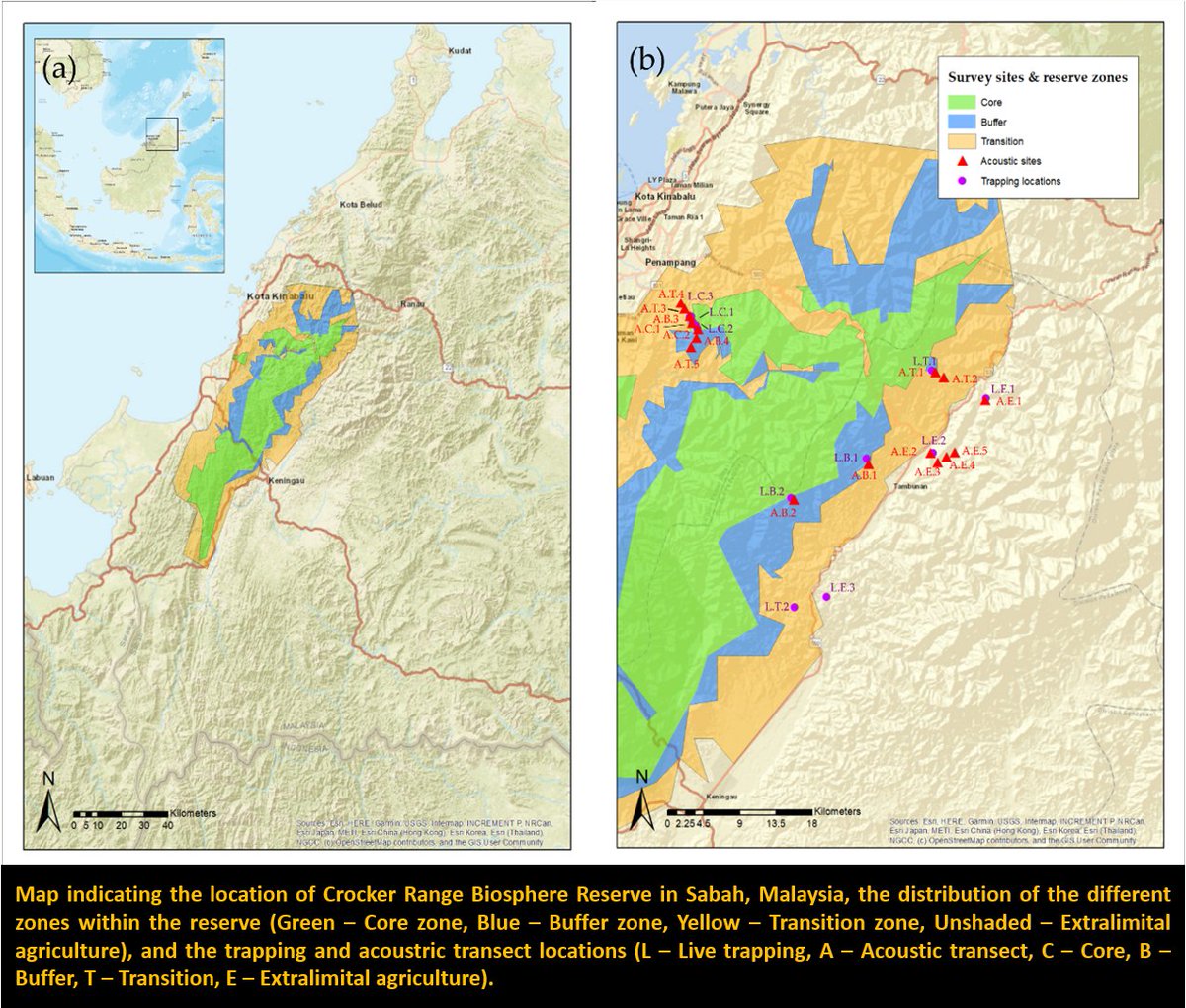 1/5  #WBTC1  #Conserve3 Biosphere reserves buffer protected habitats with zones of limited use, but do these zones protectdiversity? We surveyedin core, buffer, transition and extralimital zone in Crocker Range Biosphere Reserves (CRBR), Sabah, Malaysia.  https://bit.ly/2TIqDfp 