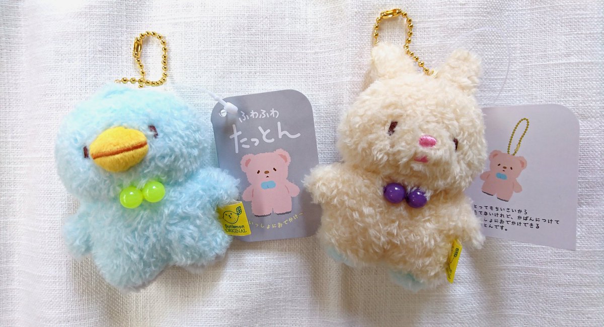 いつでもぽよよ در توییتر 先日届いたふわふわたっとんチャーム たっとん待っとったん 想像以上にふわふわでずっとなでなでしたくなる可愛さ 迷ってたけどお店も再開しつつあるし大きい子もお迎えしたい ふわふわたっとん サンレモンさんブルーブルーエさん