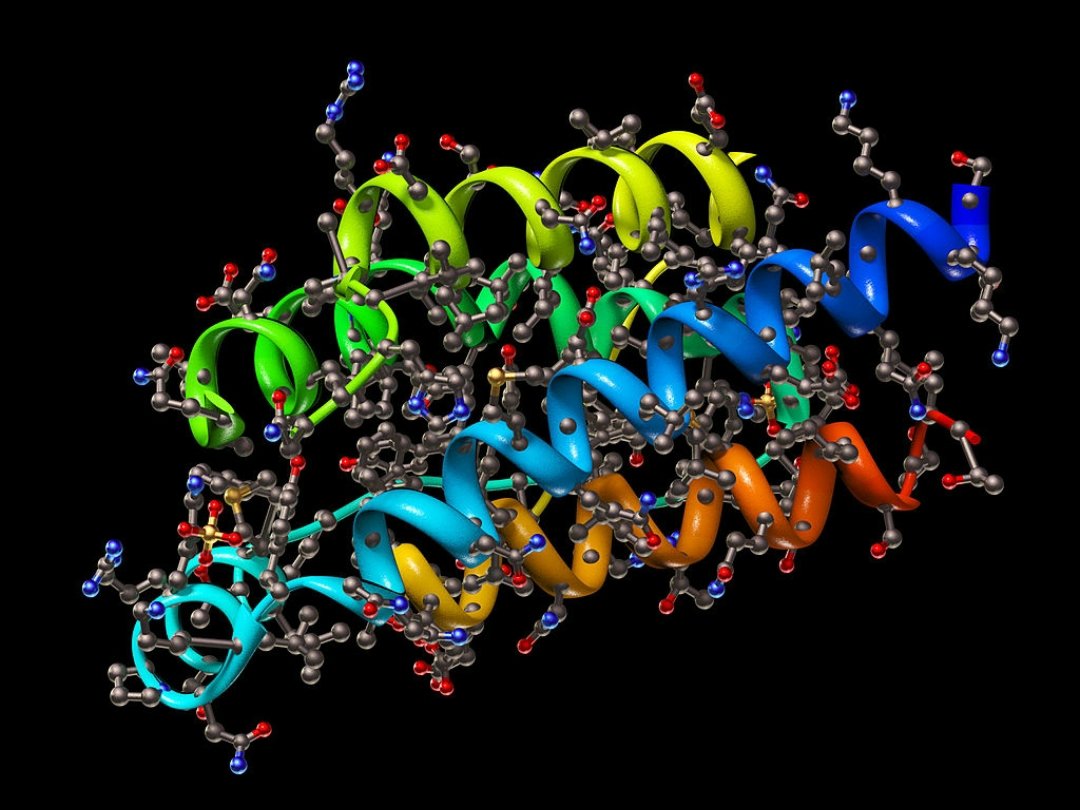 Doğru beslenme kurallarından bir tanesi de Temel besinleri dengeli alabilmektir. En önemlisi, gün içerisinde ne kadar protein ağırlıklı beslenilebildiği'dir. Günlük her kilogram için 1 gr protein almak gerekir...