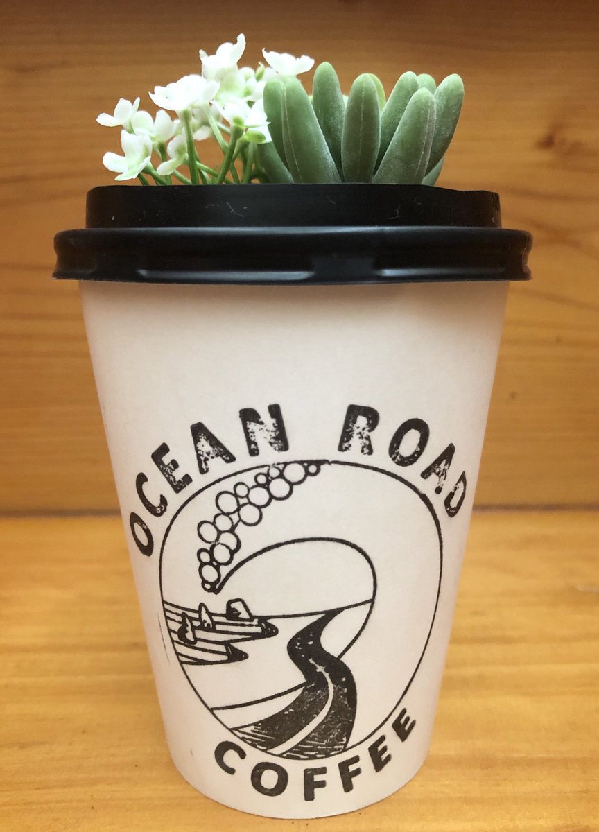 ট ইট র Ocean Road Coffee Cart 先日お客様から頂いた可愛い鉢植えディスプレイをお手本に作りました コーヒーカートに飾る予定です Inspired By T18chorot21 San We Made This Display For The Coffee Cart Thank You For Your Awesome Idea ট ইট র Ocean Road Coffee Cart 先日お客様から頂いた可愛い鉢植えディスプレイをお手本に作りました コーヒーカートに飾る予定です Inspired By T18chorot21 San We Made This Display For The Coffee Cart Thank You For Your Awesome Idea
