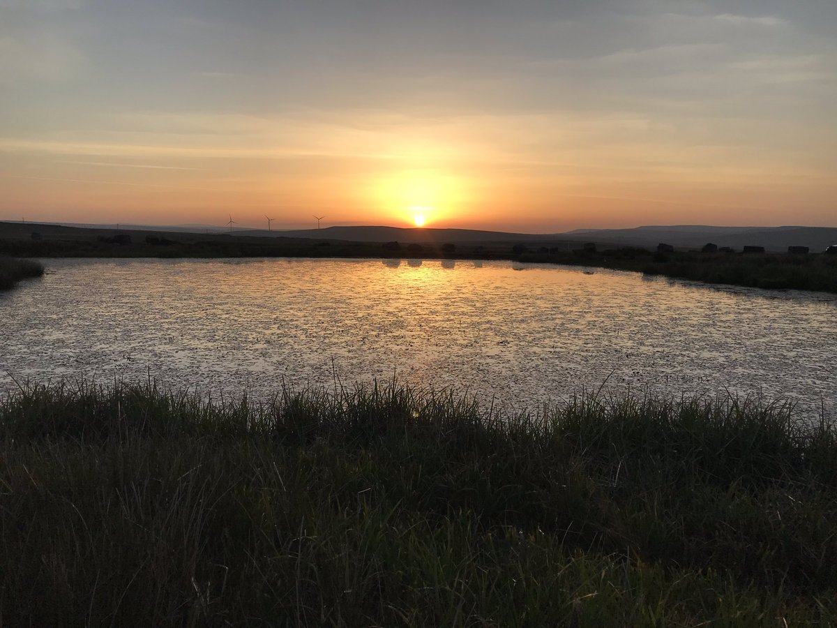 Beautiful sunrise in Cwmbargoed, Merthyr Tydfil this morning! <a href="/BBCWalesNews/">BBC Wales News</a> <a href="/DerekTheWeather/">Derek Brockway - weatherman</a> <a href="/bbcweather/">BBC Weather</a> <a href="/MetMattTaylor/">Matt Taylor</a>