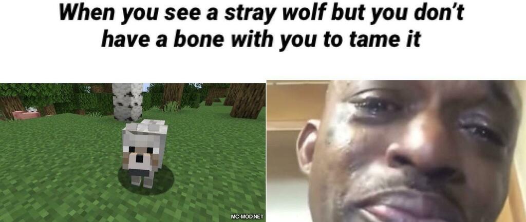 Minecraft Memes Relatable T Co Teharmknwa Twitter