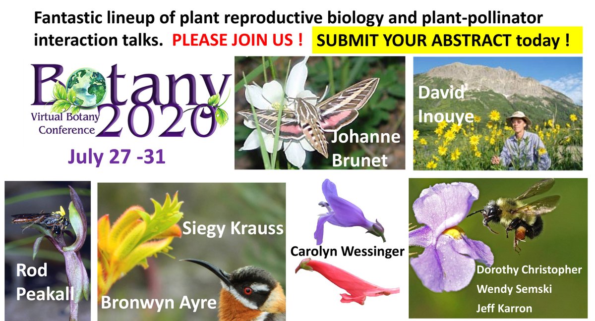 PollinatorCons's tweet photo. Fantastic lineup of plant reproductive biology and pollination talks at Botany 2020.  PLEASE JOIN US ! 
@Botanical_ Submit abstracts by May 31.  https://t.co/VqjHbQRbpD https://t.co/jg5BoQPoYs
