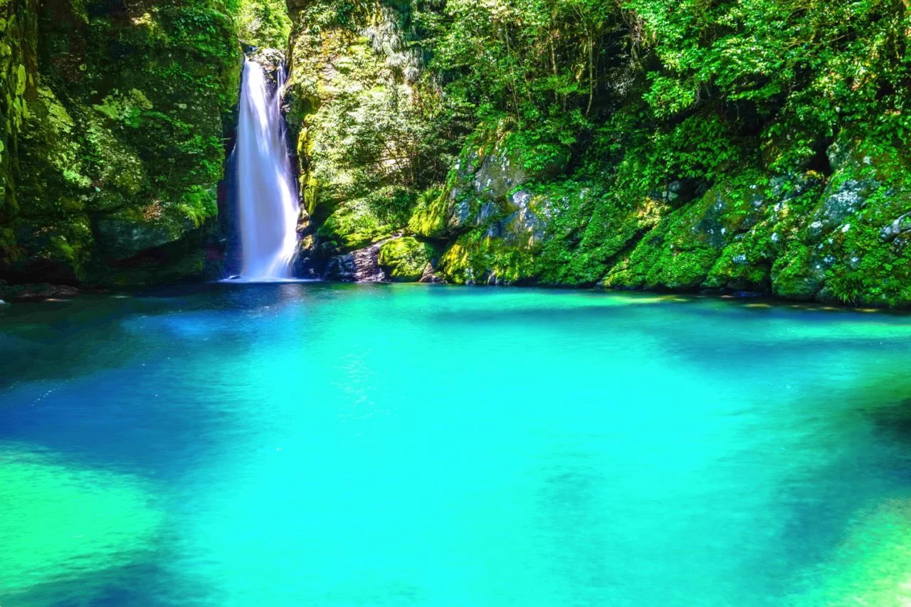 @Leon_photo101 これも高知県なんですよ… 