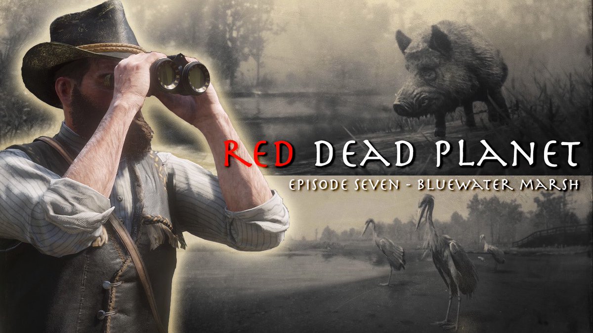 BeardedGibbon's tweet photo. Catch up on the latest episodes of #RedDeadPlanet here 👇
https://t.co/dPZuILWCxO
Episode 7 - Bluewater Marsh
Episode 8 - Bayou Nwa
#RedDeadRedemption2 @rclark98 @RockstarGames #RockstarGames
#VirtualPhotography #VirtualDocumentary #RDR2 #VirtualFilmmaking #RockstarEditor https://t.co/FsLALHG1ra