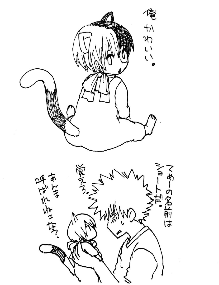 自分の名前を かわいい だと思ってるねこ けーごの漫画