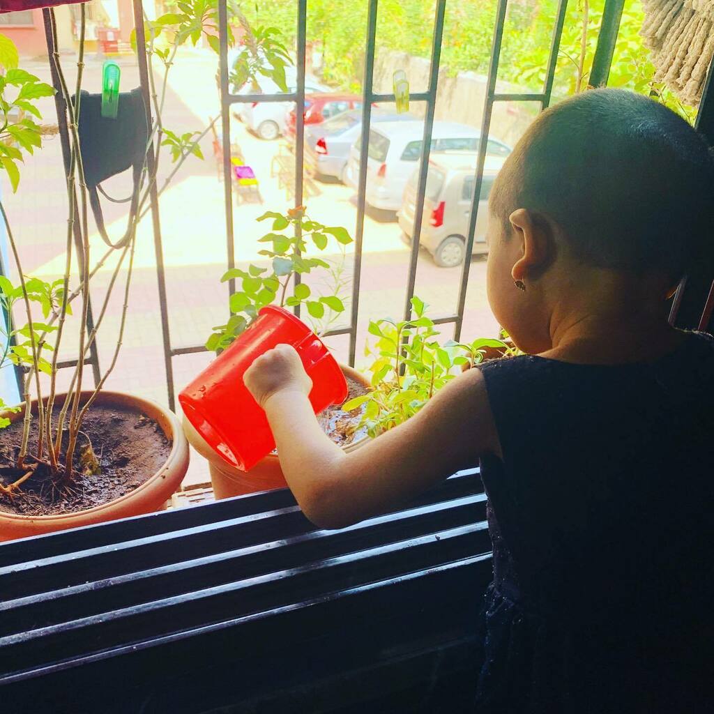 And her day starts with this... 🌿🌲🏝 #watering #gardening #plants #garden #water #wateringplants #plant #wateringcan #gardenersofinstagram #gardentools #diy #green #houseplants #rose #nature #system #gardentaps #flowers #gardenirrigation #summer #darl… instagr.am/p/CAuDM-xJ6A1/