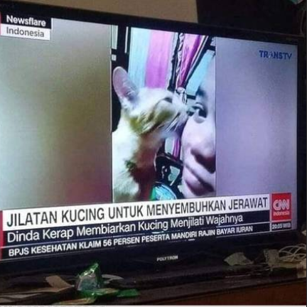 onecak's tweet photo. Selain buat jilatin pantatnya kucing, ada khasiat lain juga ternyata..
https://t.co/kjkygCj8uN https://t.co/kdjXOYY5WM