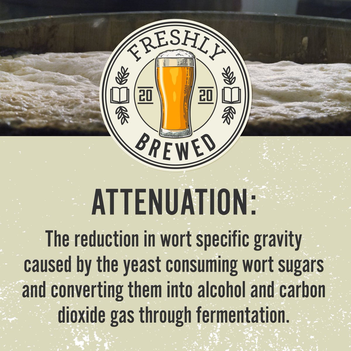 Do you really know what’s going on with your brew through fermentation? Well, now do you 🤯👍