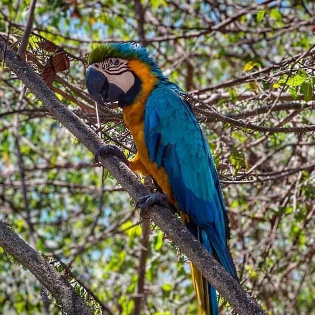 benditabeach's tweet photo. En @benditabeach siempre vivimos rodeados de naturaleza.

BENDITA BEACH "Una Isla De Verdad"
https://t.co/L8si9Asruh

#benditabeachcartagena #islabenditabeach
#benditabeach #cartagena #islasdelrosario  #traveling #caribecolombiano #rosarioislands #pasadiaislasdelrosario https://t.co/brtzvzY756