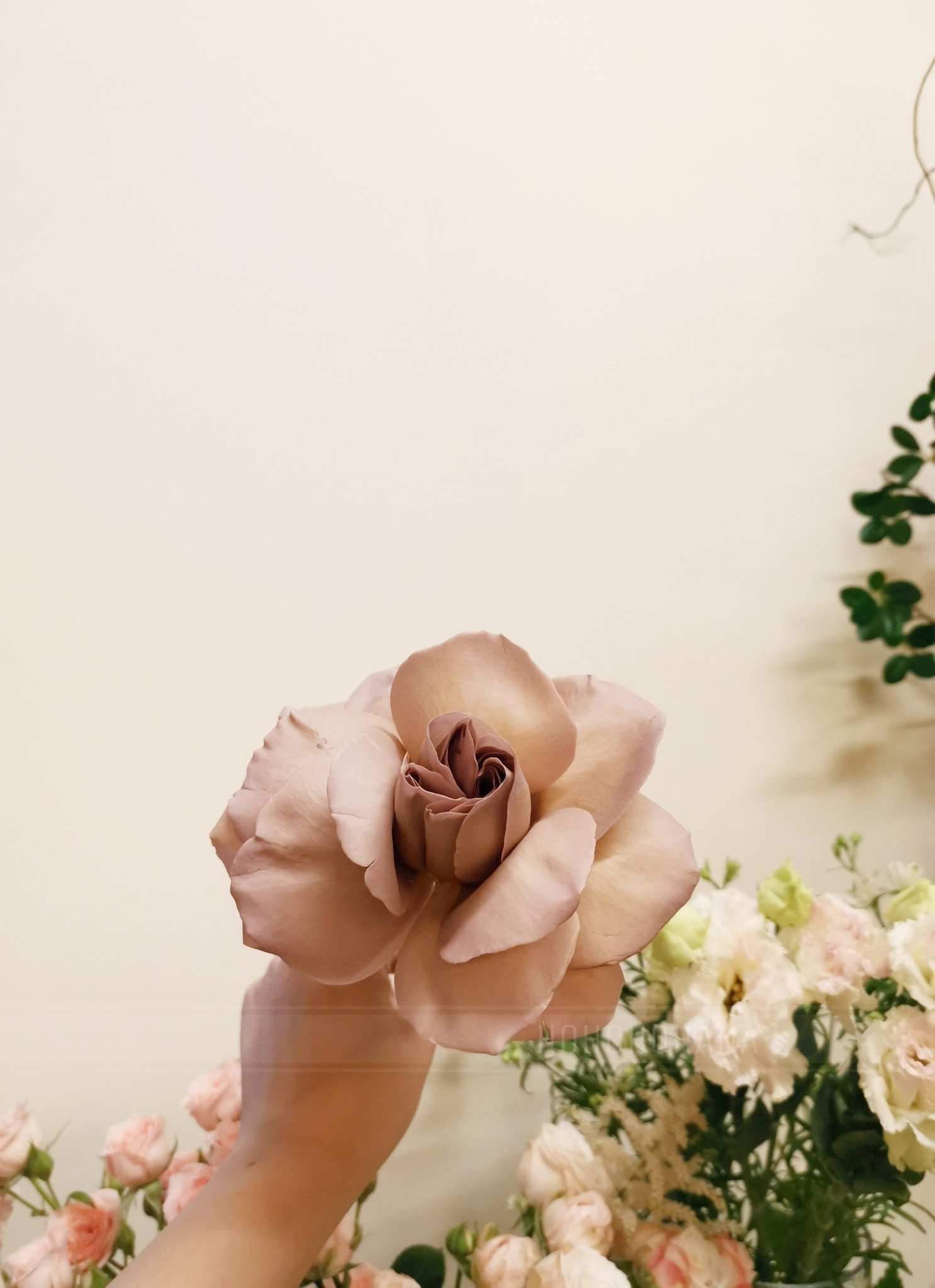 Hohahonaho Twitter Search Twitter