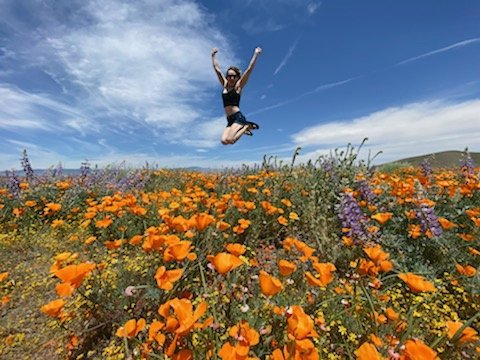 fanfuckintastic 🧡 #poppyfield #californiapoppies #fuckya