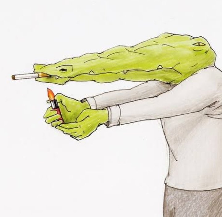 🐊