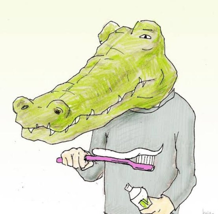 🐊