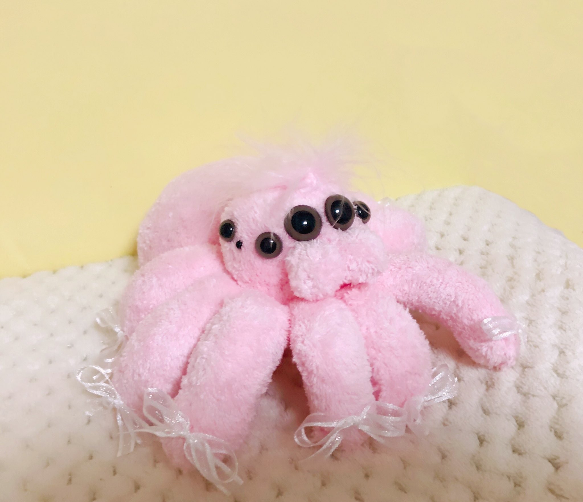 にくもちの赤ちゃん🧸ハエトリグモぬいぐるみ🐣 on X: 