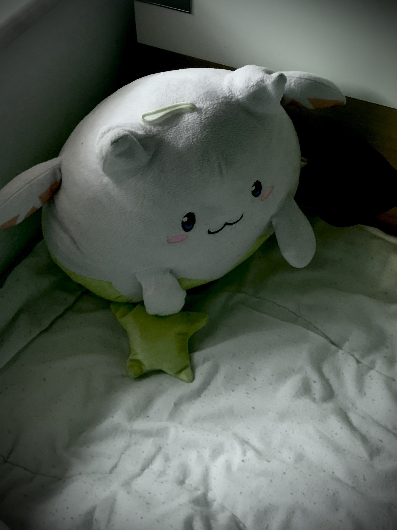 常世ノ闇 とこやみ 厭世たまドラ 常世ノ闇 とこやみ 厭世たまドラ