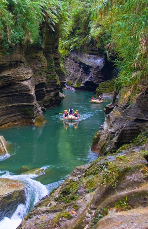 explortourism's tweet photo. Navua River, Fiji
https://t.co/sLX2oi9xEs

Awesome place for a boat trip!

#fijitourism #fijitravel #fijitour #fijitrip #fijivacations #fijitourpackages #wanderlust #doyoutravel 
#goexplore #wonderfulplaces #lovetotravel #travellifestyle #luxuryholiday #holiday #vacations https://t.co/QEfawOdYtI