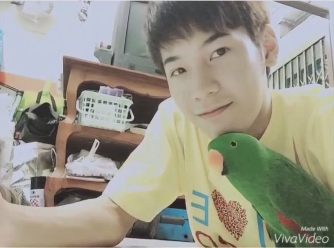 singto prachaya and his love for animals ; a very cute thread