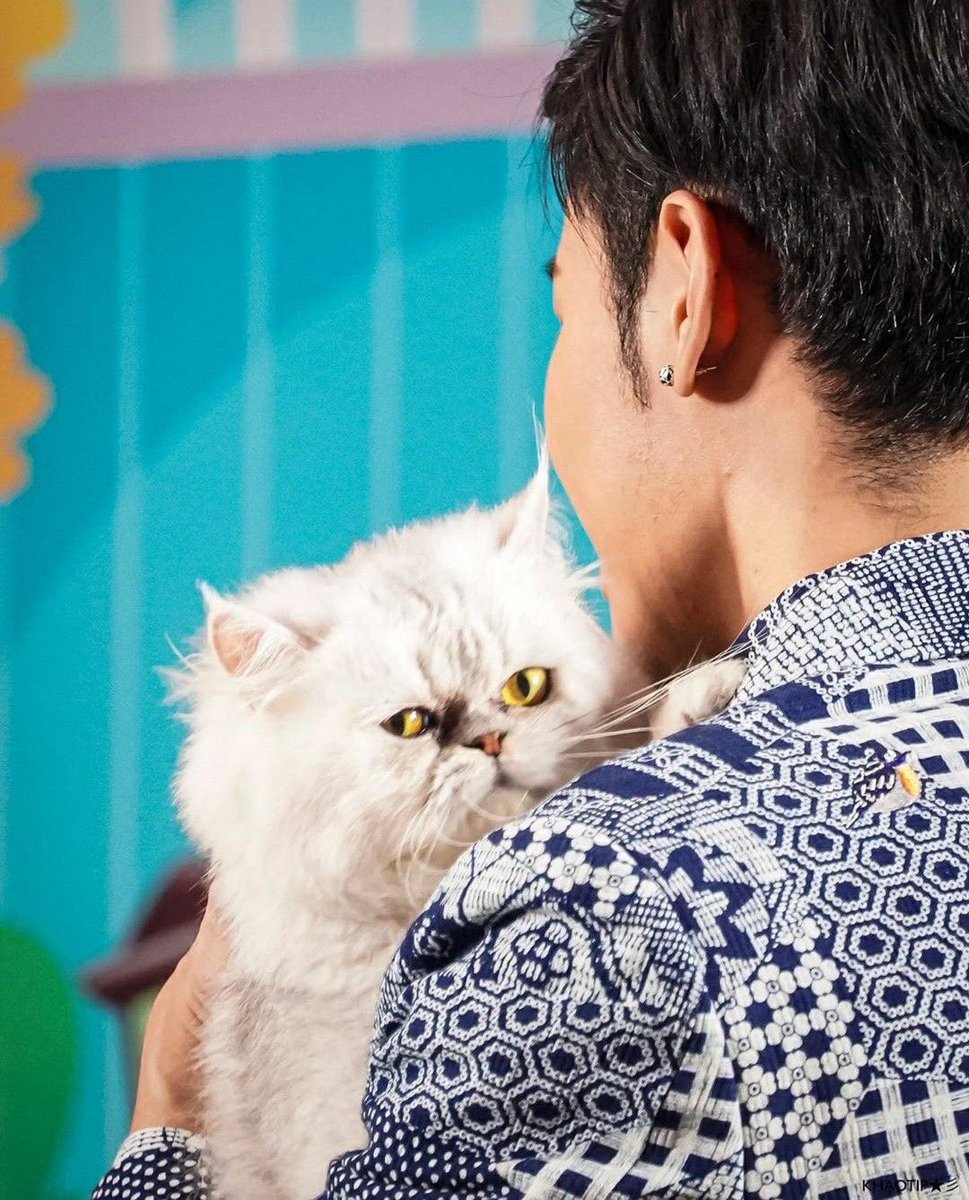 singto prachaya and his love for animals ; a very cute thread