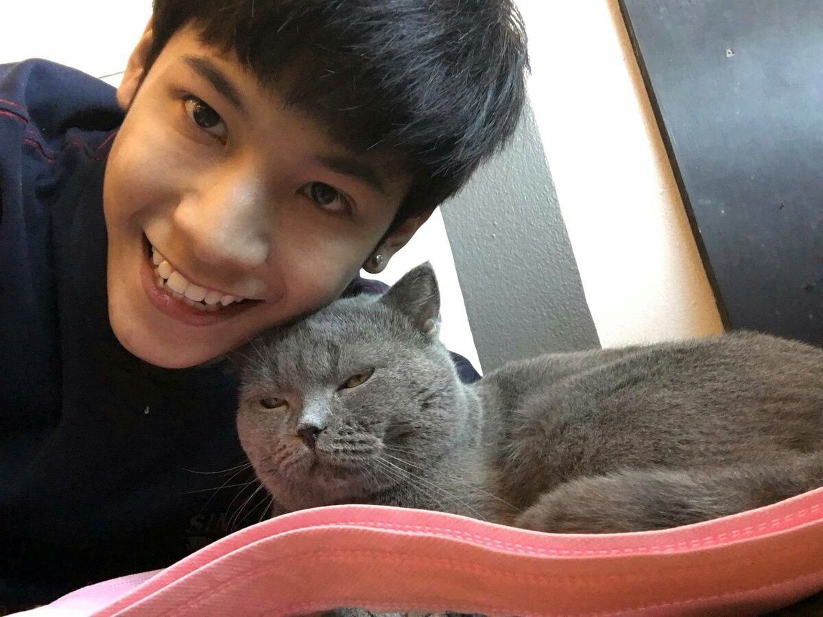 singto prachaya and his love for animals ; a very cute thread