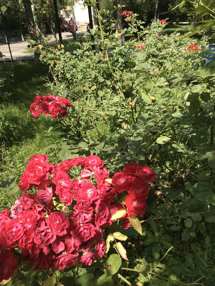 Duygular 
İnsana hata yaptırırmış..
Hatasız günlere diyelim 🙏🏻

____Günaydın 🌹