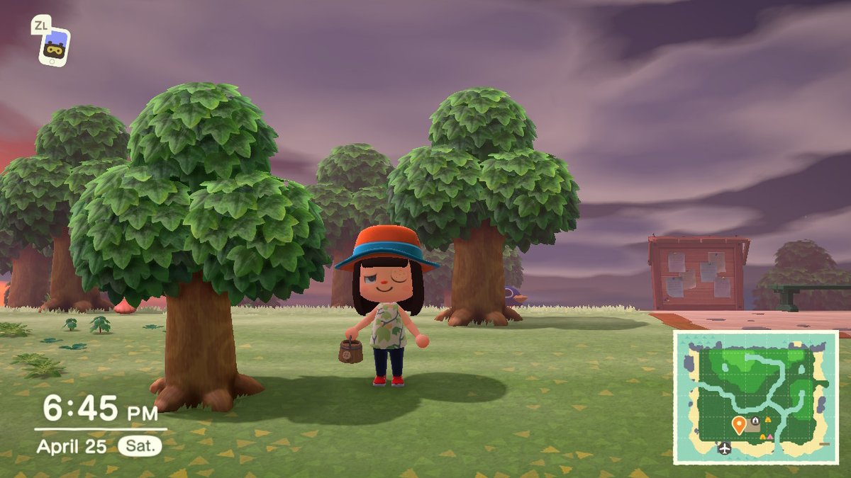 jovankaave's tweet photo. #AnimalCrossing #ACNH #NintendoSwitch https://t.co/iAbTGOhF44