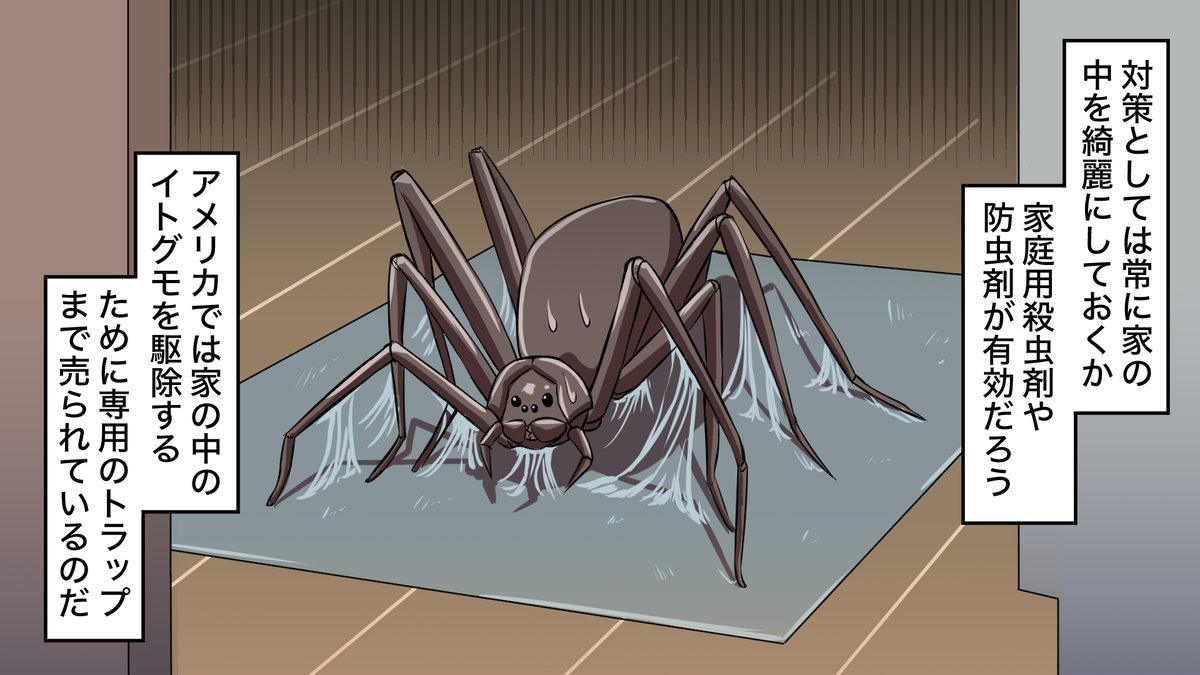 تويتر ヒューマンバグ大学 على تويتر 世界最悪の毒蜘蛛 T Co 0jalol98cp تويتر ヒューマンバグ大学 على تويتر 世界最悪の毒蜘蛛 T Co 0jalol98cp