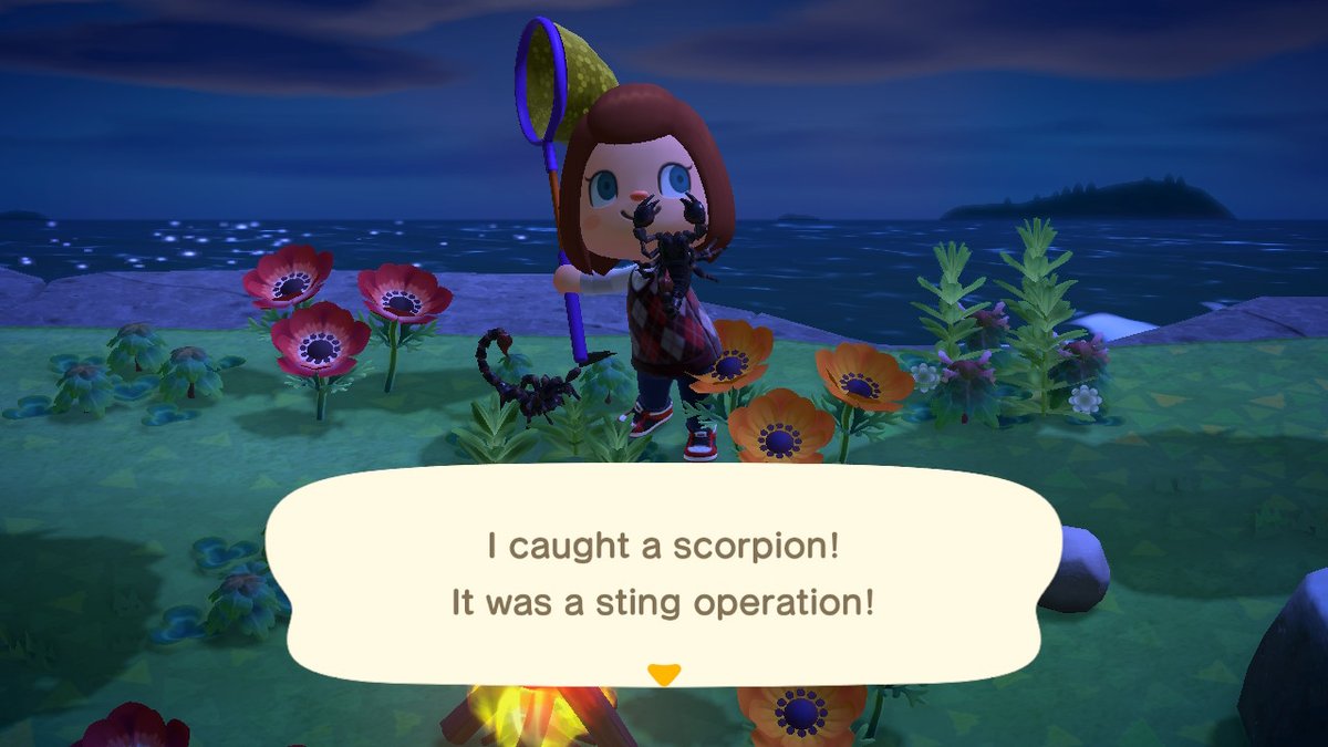 jovankaave's tweet photo. #AnimalCrossing #ACNH #NintendoSwitch https://t.co/qE8UJXRKL2