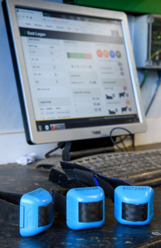 Ice_Robotics's tweet photo. Did you know that CowAlert integrates with many farm management systems all over the world? With these interfaces you don't have to double enter information in several systems, saving time and labour!
https://t.co/OFaeINTGM4
#StayConnected #CowAlert #FarmManagement https://t.co/9iuV6iNs1D