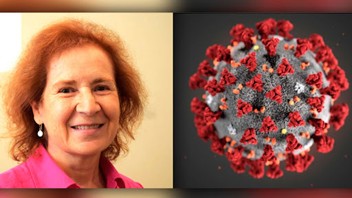 BuenosDiasOM's tweet photo. La viróloga Margarita del Val ha lanzado un serio aviso: hay mucho más #coronavirus que cuando se inició el estado de alarma.

👉10:10 @elydvalle  entrevista a Margarita del Val 

Sigue la entrevista en #directo en :

📺 https://t.co/m6pWOGMJbg
📻101.3-106 FM
🎙@ondamadrid https://t.co/hk1sE4POTx