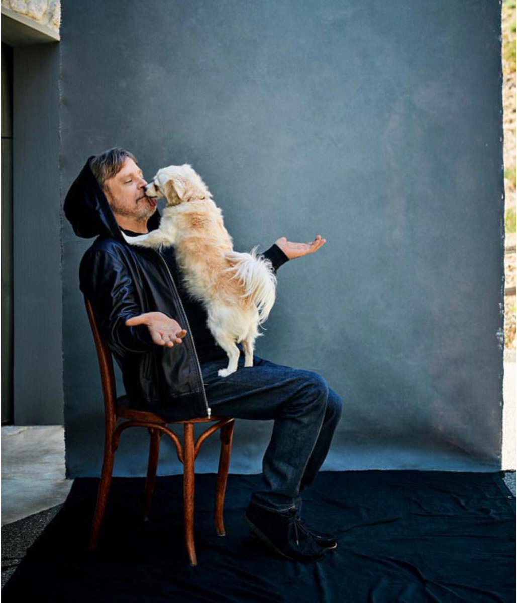 MarkHamill's tweet photo. May The 28th Of November 2012 Be The Birthday Of Beloved Hamill Family Member #MillieTheMagnificent That Precious Pup With The Winning Smile, A Magnetic Personality &amp; A Snoot Full O' Smooches 💋 https://t.co/n3L5EH3wWr