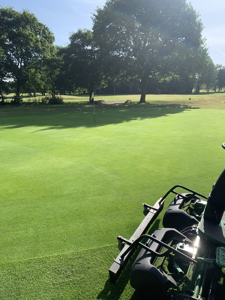 sale_greens's tweet image. Looking really healthy sat at 5mm during this hot spell @PhilColl_ICL @ICL_Turf #trismart👍🏻😎
