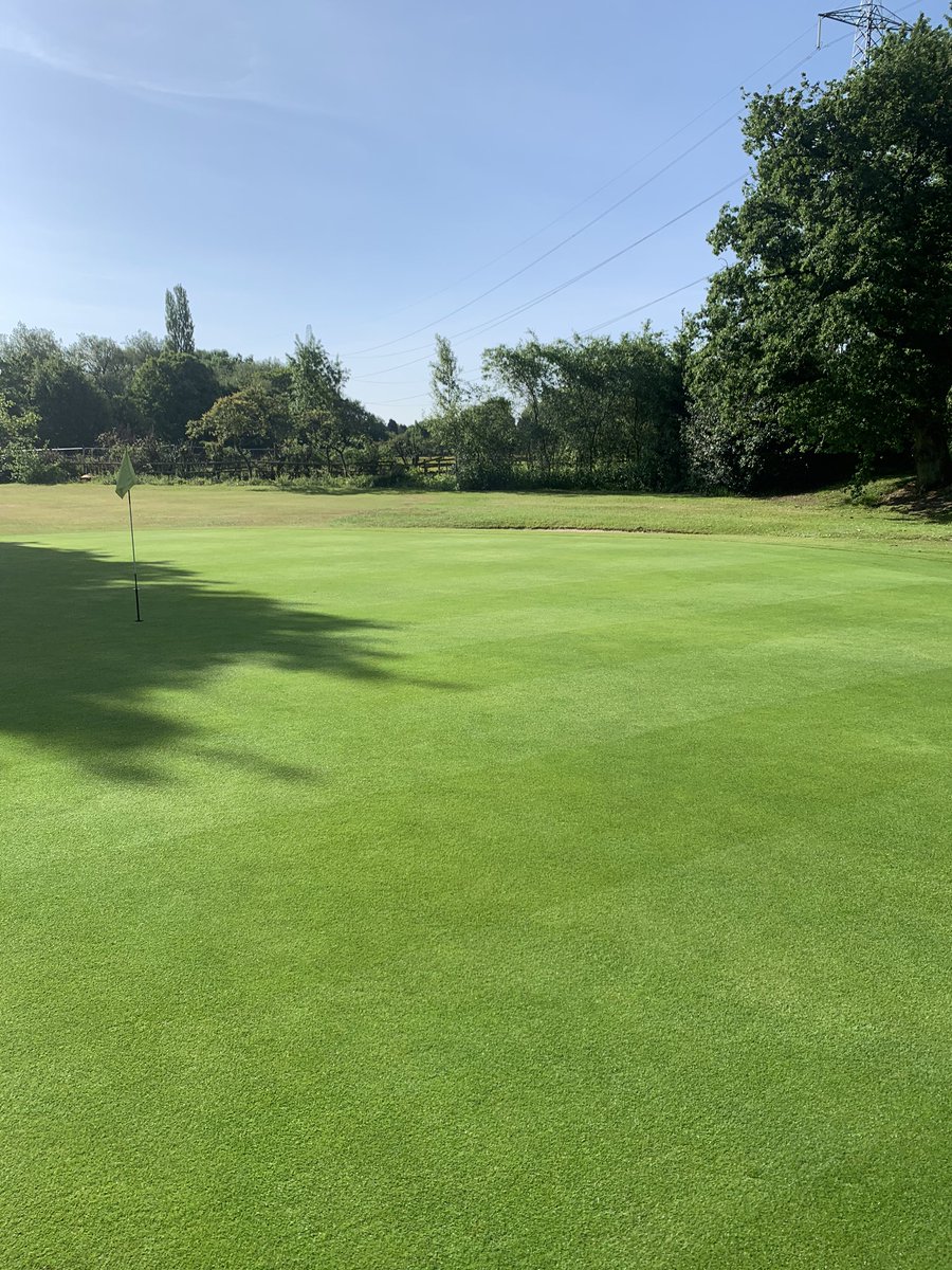 sale_greens's tweet image. Looking really healthy sat at 5mm during this hot spell @PhilColl_ICL @ICL_Turf #trismart👍🏻😎