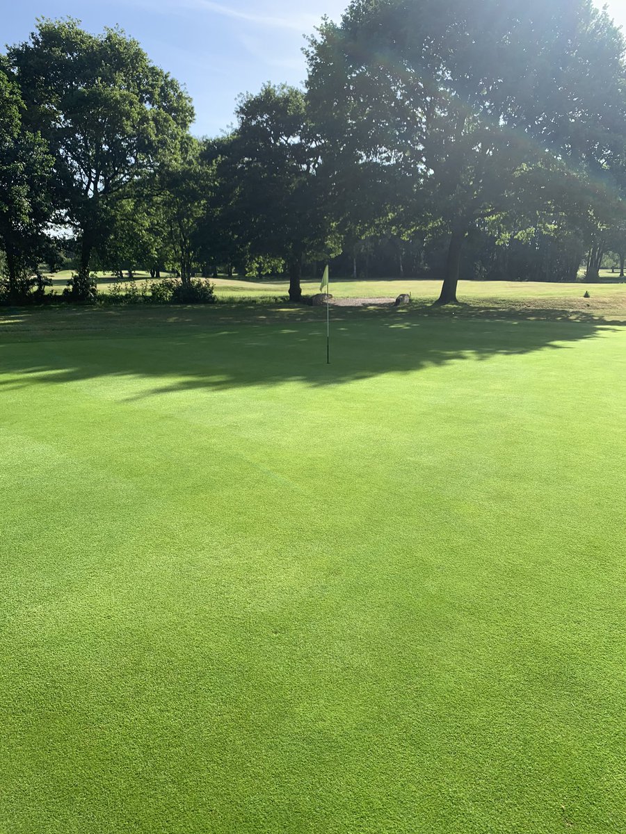 sale_greens's tweet image. Looking really healthy sat at 5mm during this hot spell @PhilColl_ICL @ICL_Turf #trismart👍🏻😎
