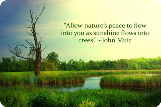 PCTScotland tweet media