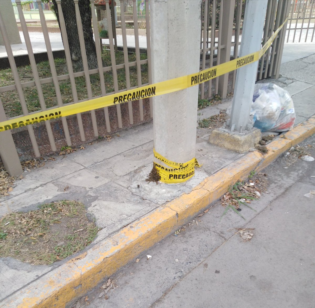 Cicmty tweet picture