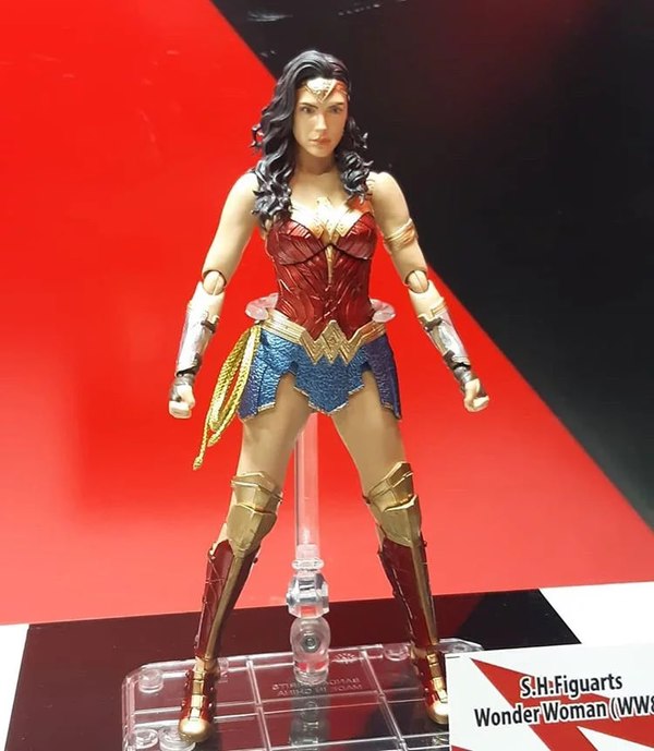 激安超特価 S.H.Figuarts ワンダーウーマン WW84 ワンダーウーマン19