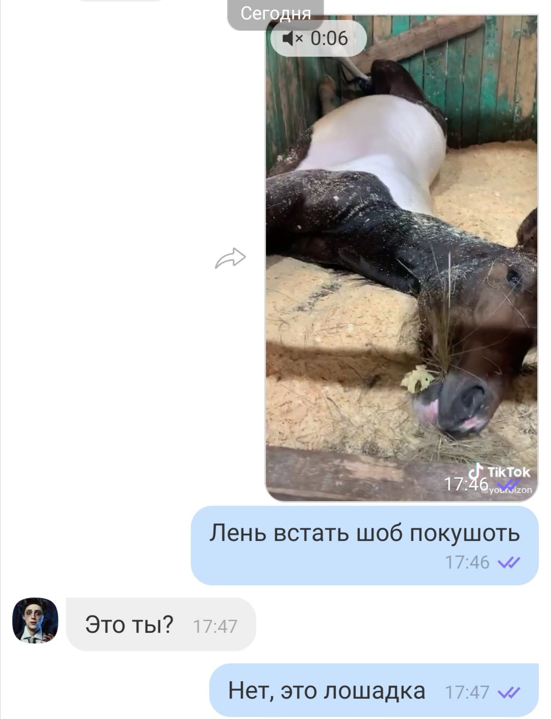 Девушка нашла собаку потеряшку и скинула