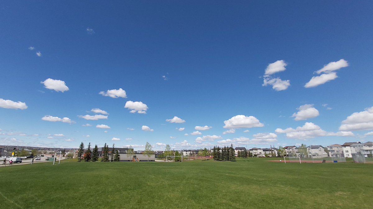 The 'sport' of photography has helped me with being positive, but like others, COVID-19 isolation put many (wellness) activities on hold.

Keep practicing social-distancing, but find or re-discover your sport(s) as more safe opportunities begin to present themselves.
⚽️🤸‍♀️🚴‍♂️📷🙂