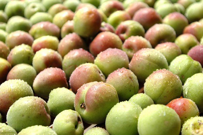 若狭物産協会のtwitterイラスト検索結果 若狭物産協会のtwitterイラスト検索結果