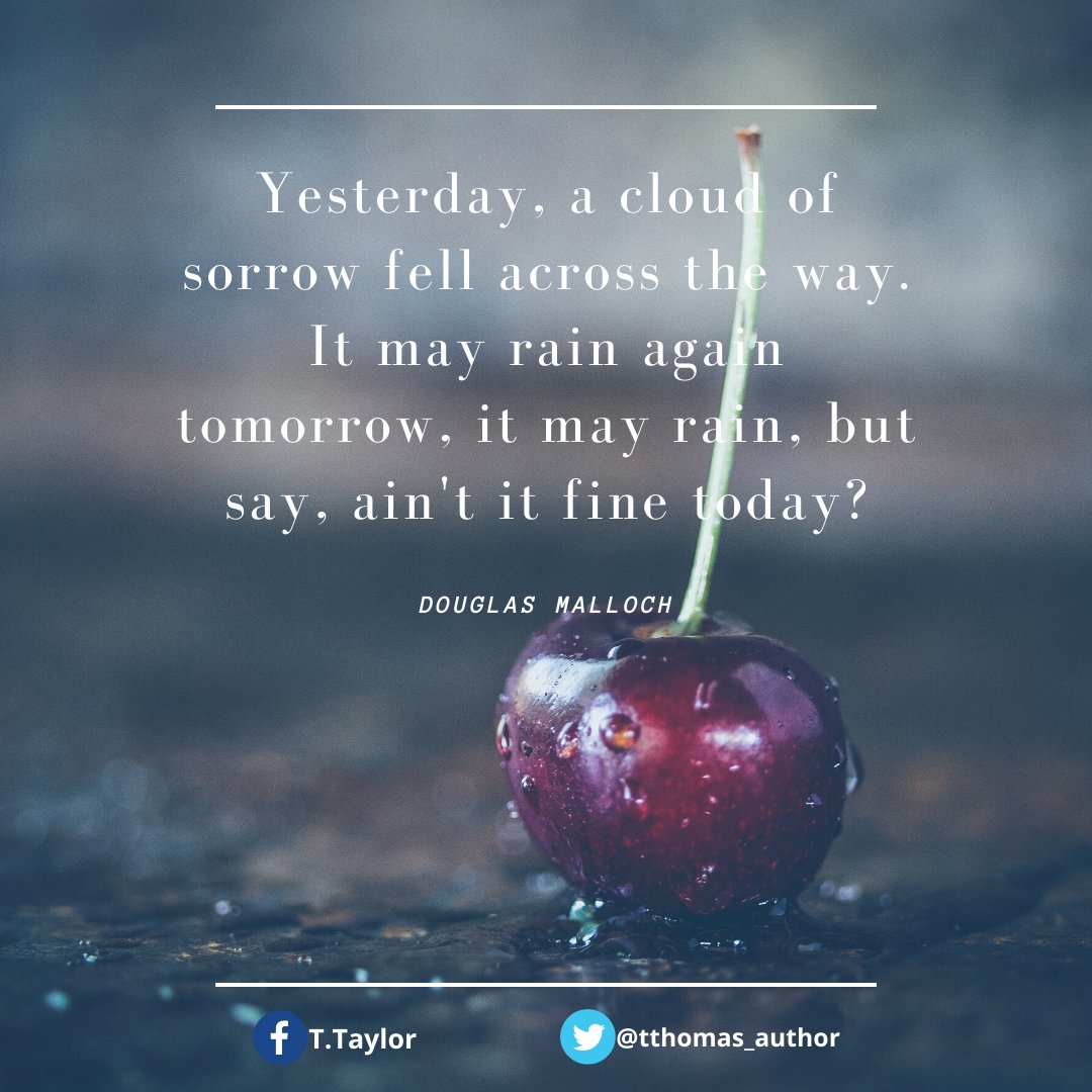 Thomas Taylor tweet media