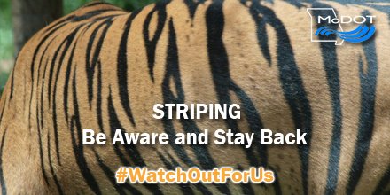 MoDOT_Southwest's tweet photo. We're striping today on these routes:
- #TaneyCo on US 65
Watch for slow-moving equipment and give them plenty of room. #MoDOTSW #WatchOutForUs https://t.co/mySmyaT0YC