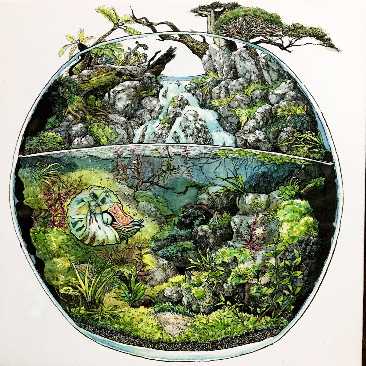 「『プラネット』

大自然を切り取ったようなこの箱庭で、ゆったりと漂う1匹のオウム」|ノーチのしっぽ研究所のイラスト