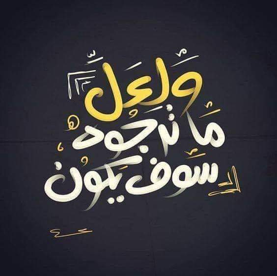 mohamedgresha's tweet image. 