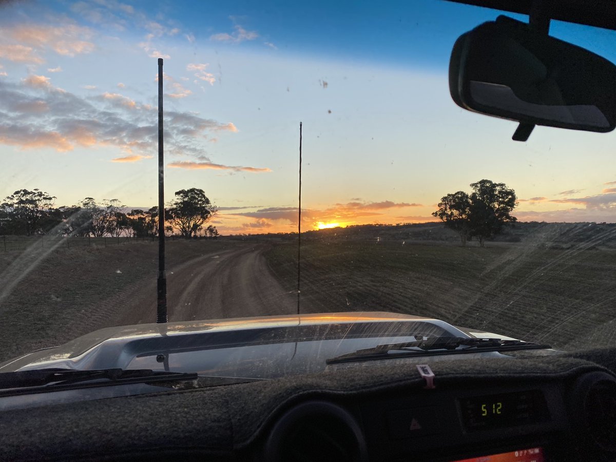 Nothing better than a crop inspection after work 🌱🌱🌱<a href="/SandonKnipe/">Sandon Knipe</a>