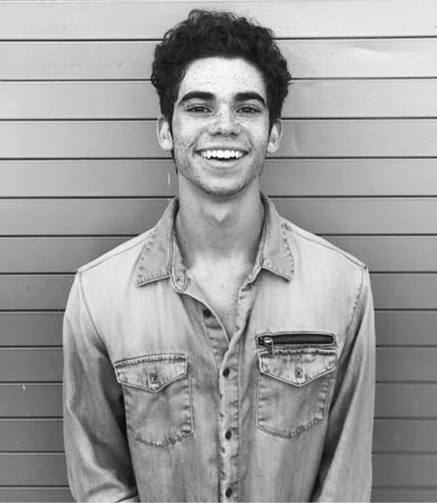 Happy Birthday to Cameron Boyce. He would have been 21 years old   