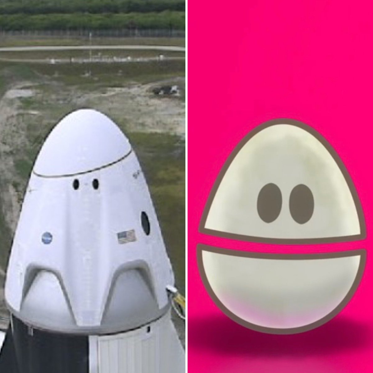 therogue_astro's tweet photo. Well, now I can’t unsee it. #LaunchAmerica #WeeblsStuff https://t.co/7qykJPh5xv