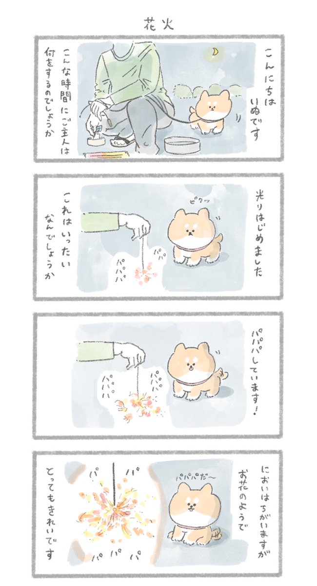 こんにちは、いぬです
#こんにちはいぬ #花火の日 