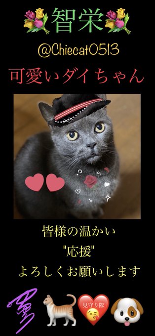 ペコリのtwitterイラスト検索結果 古い順