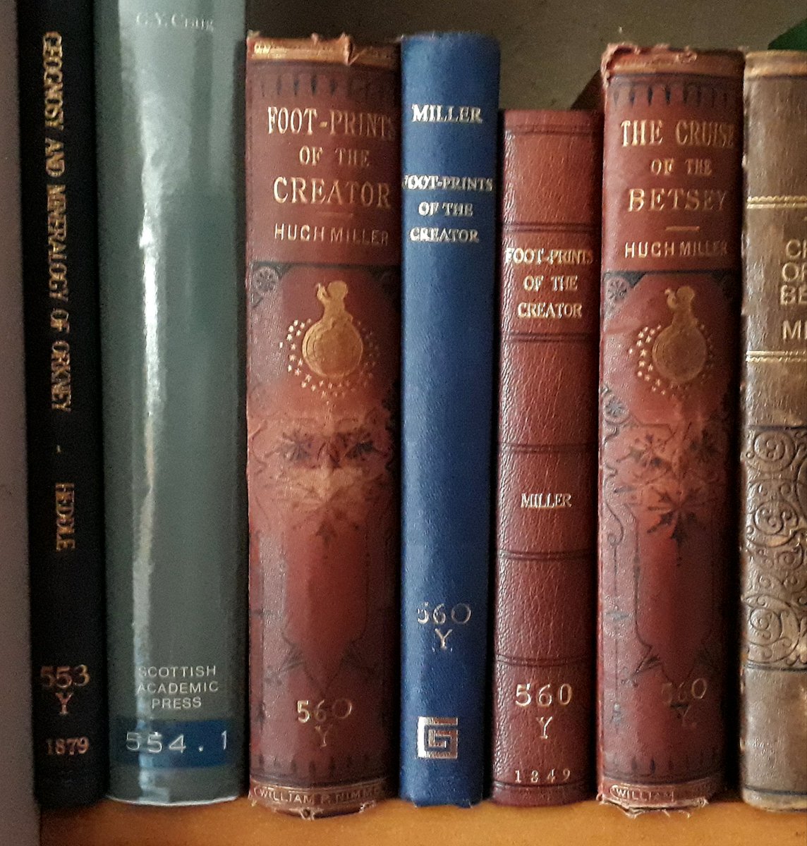 We have several copies of Miller's book in the Archives including a copy of the original 1849 edition.The fossil can still be seen in the  @StromnessMuseum just a short distance from the Stromness shore where it had been buried for more than 359 million years.